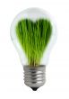 Green light bulb