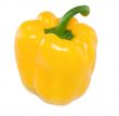 Yellow peppe