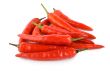 Chili pepper isolated