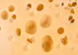 Cheese and holes
