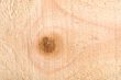 Wood grain