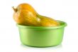 Ripe squash in the container