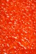 Salmon caviar