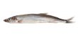 Raw capelin (Path)