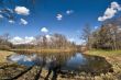 Spring in the park