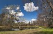 Spring in the park