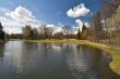 Spring in the park