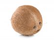 Ripe coconut isolated