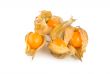 Ripe physalis