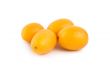 Ripe kumquat