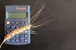 Wheat Price