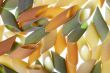 italian pasta