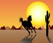horse on sunset background