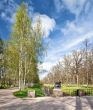 Spring landscape 