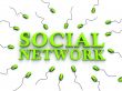 Social network