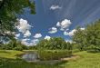 Landscape with the pond