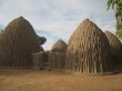 traditional architecture in  Cameroon