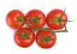 red tomatoes