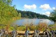 Bike`s View of a Lake