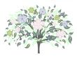 blossom tree