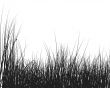 grass silhouette