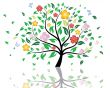 blossom tree