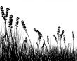 grass silhouette