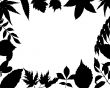 floral frame