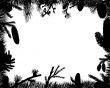 floral frame