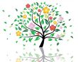 blossom tree