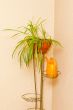 decorative flower