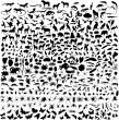 animals