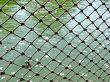 Rope Net
