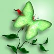 Green Decorative Butterfly