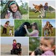 children and dogs