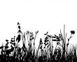 grass and flowers