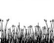 grass silhouettes