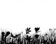 grass silhouettes