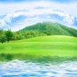 river and meadow