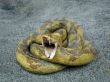 snake