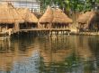 tropital huts