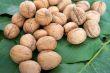 ripe nuts