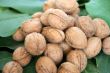 ripe nuts