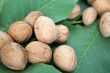 ripe nuts