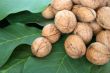 ripe nuts