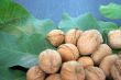 ripe nuts