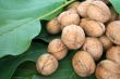 ripe nuts