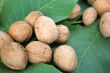 ripe nuts