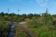 Road to creek