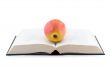 apple on opened book